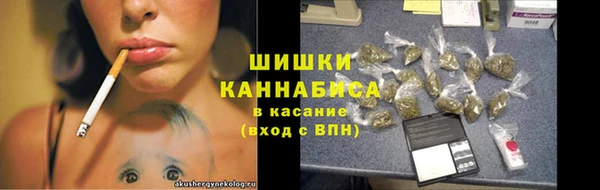 ПСИЛОЦИБИНОВЫЕ ГРИБЫ Семёнов
