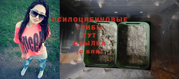 2c-b Арсеньев