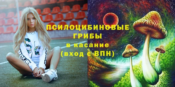 сатива Богданович