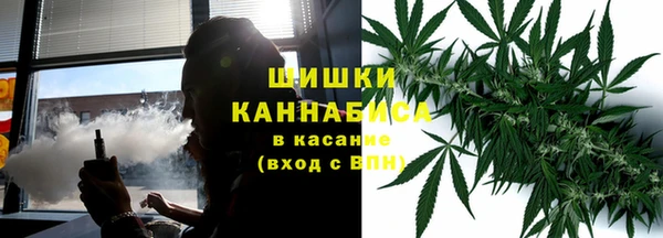 сатива Богданович