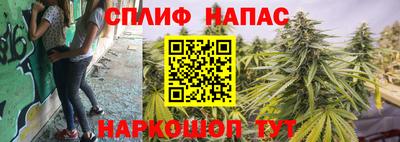 шишки Пугачёв