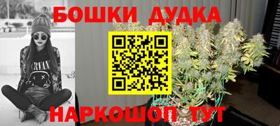 шишки Пугачёв
