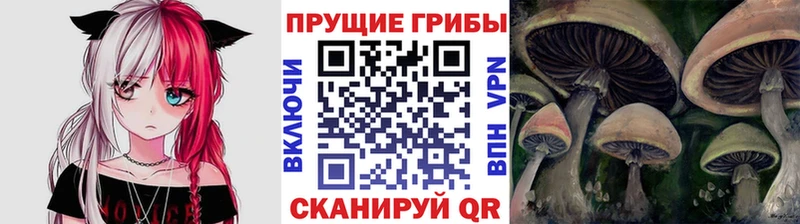 Галлюциногенные грибы мицелий  Радужный 